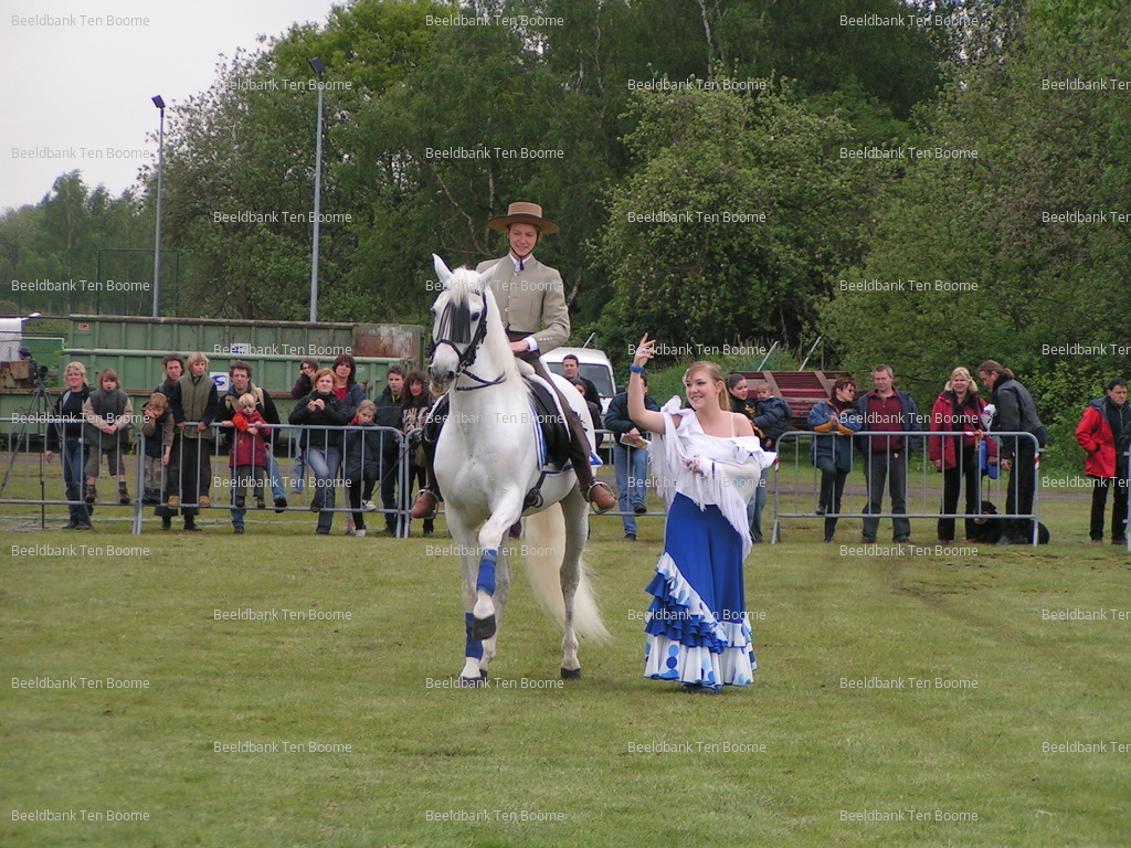 Gevonden beeld met watermerk