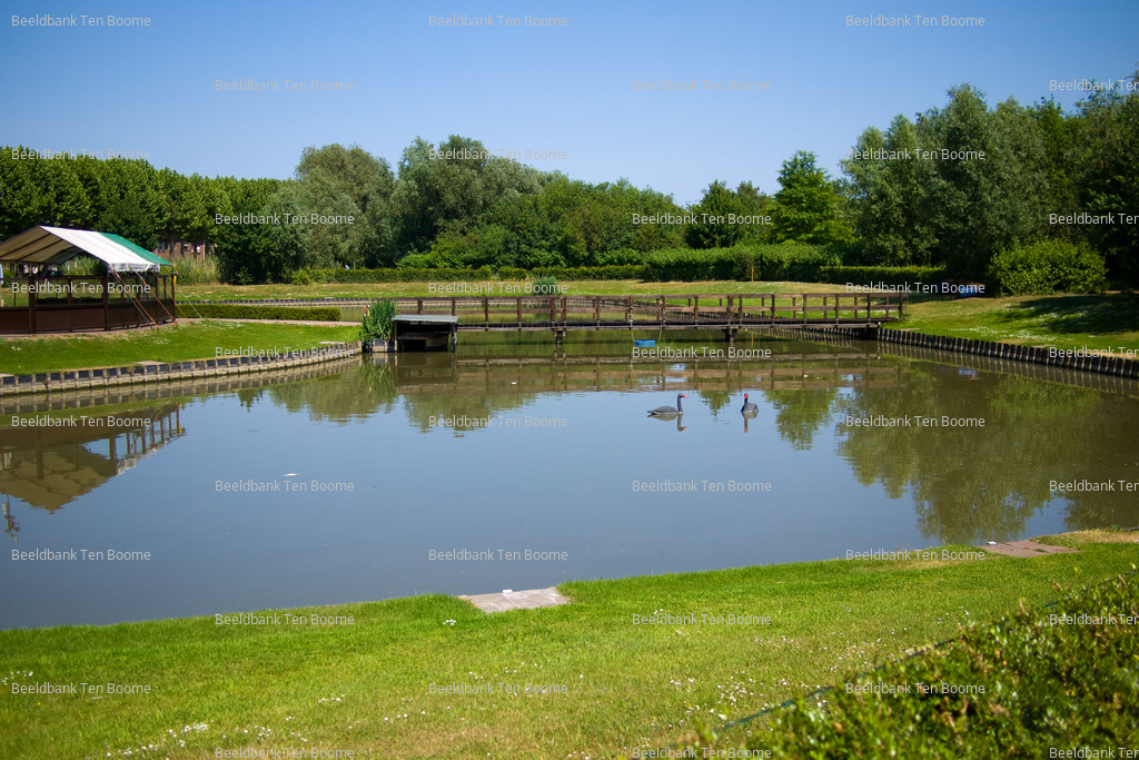 Gevonden beeld met watermerk