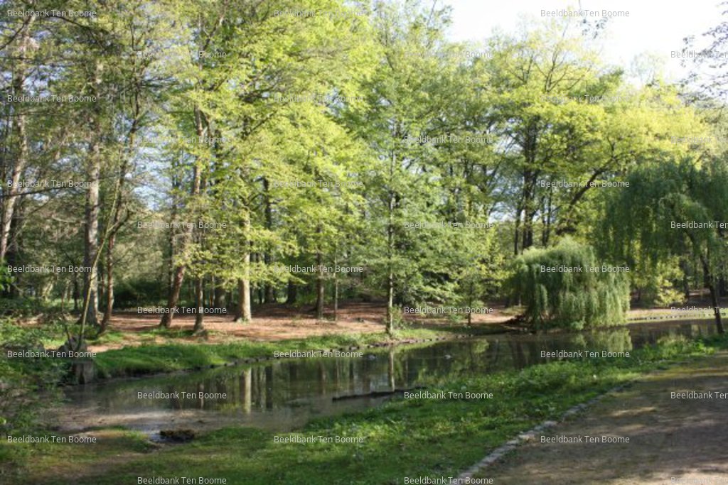 Gevonden beeld met watermerk