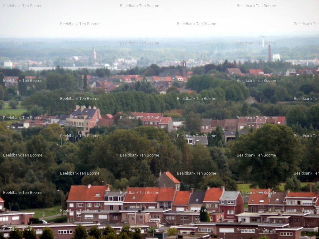 Gevonden beeld met watermerk