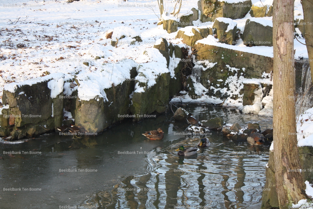 Gevonden beeld met watermerk