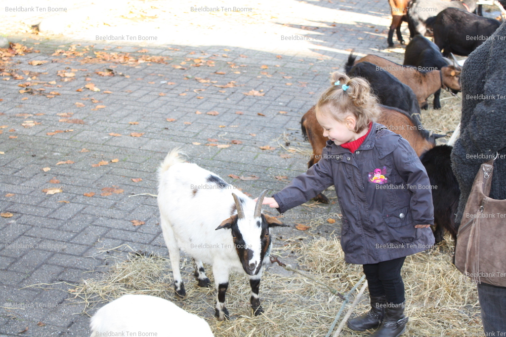 Gevonden beeld met watermerk