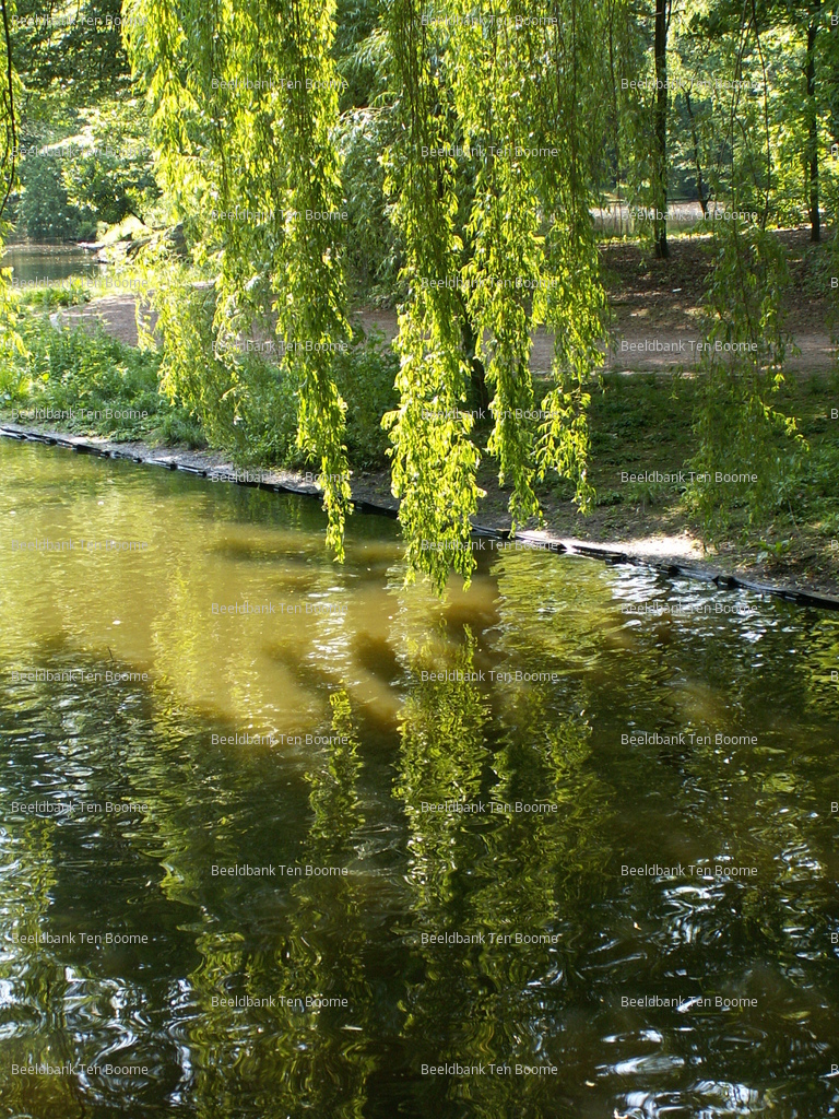 Gevonden beeld met watermerk