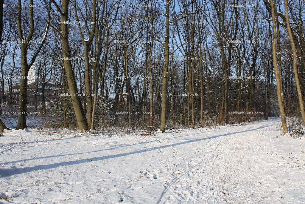 Gevonden beeld met watermerk