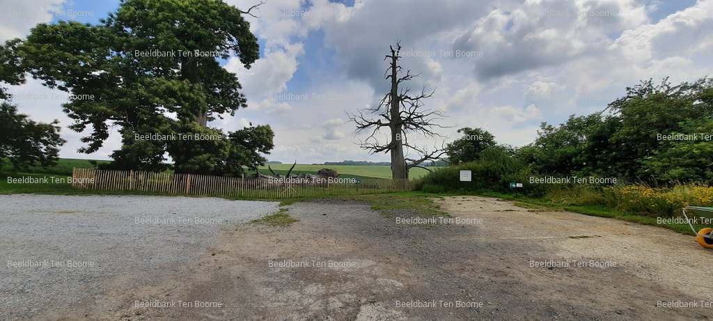 Gevonden beeld met watermerk