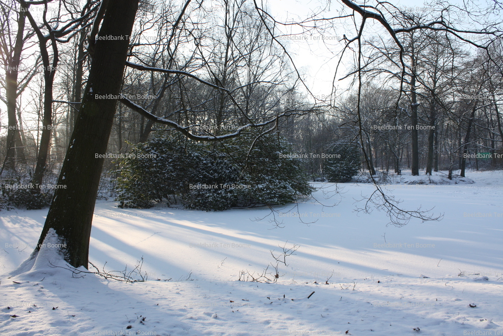 Gevonden beeld met watermerk