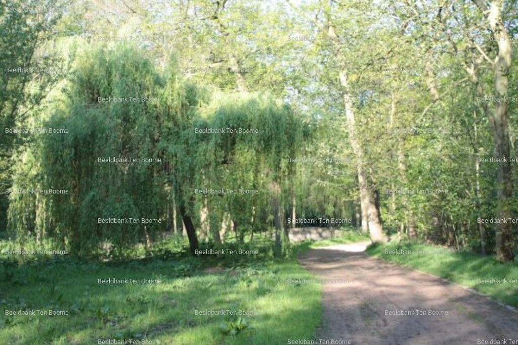 Gevonden beeld met watermerk