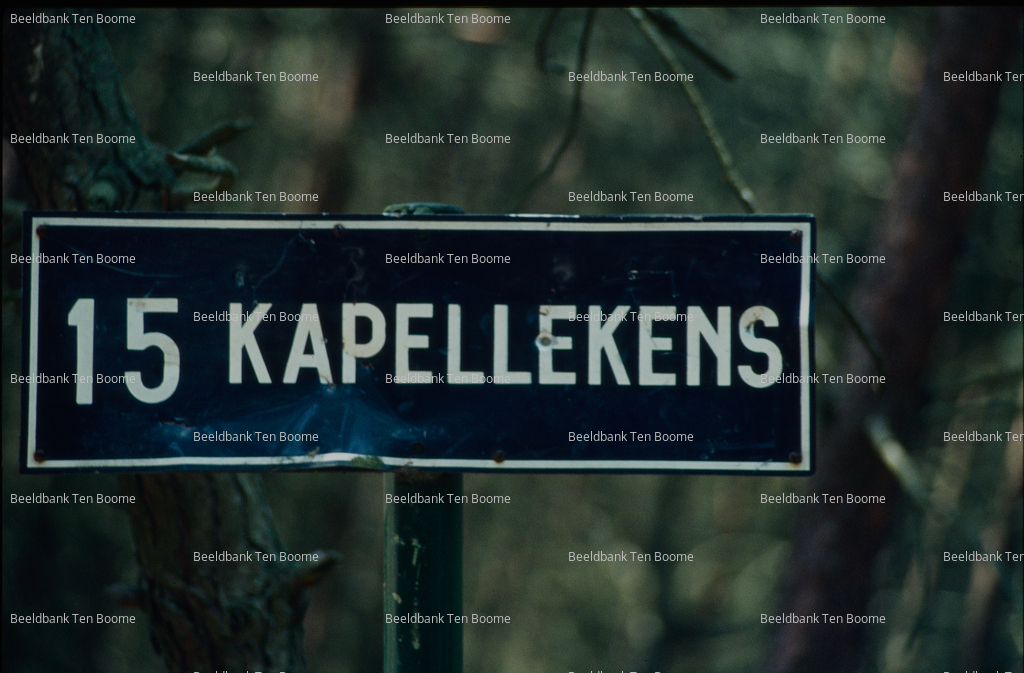 Gevonden beeld met watermerk