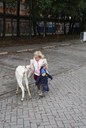 Gevonden beeld