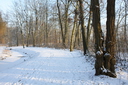 Gevonden beeld