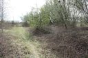 Gevonden beeld
