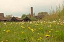 Gevonden beeld