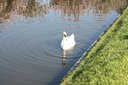 Gevonden beeld