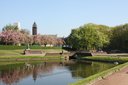 Gevonden beeld