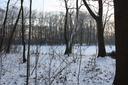 Gevonden beeld