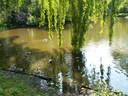 Gevonden beeld
