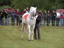 Gevonden beeld