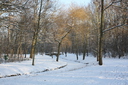 Gevonden beeld