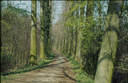 Gevonden beeld