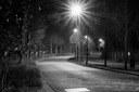 Gevonden beeld