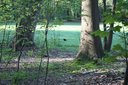 Gevonden beeld